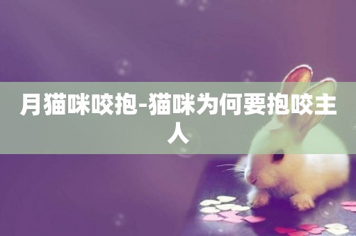 月貓咪咬抱-貓咪為何要抱咬主人