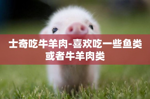 士奇吃牛羊肉-喜歡吃一些魚類或者牛羊肉類