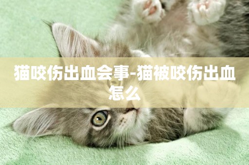 貓咬傷出血會事-貓被咬傷出血怎么
