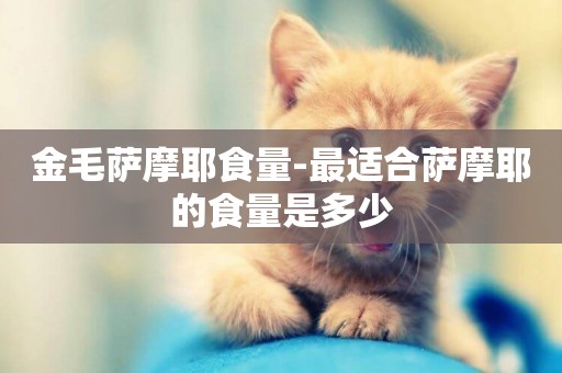金毛薩摩耶食量-最適合薩摩耶的食量是多少
