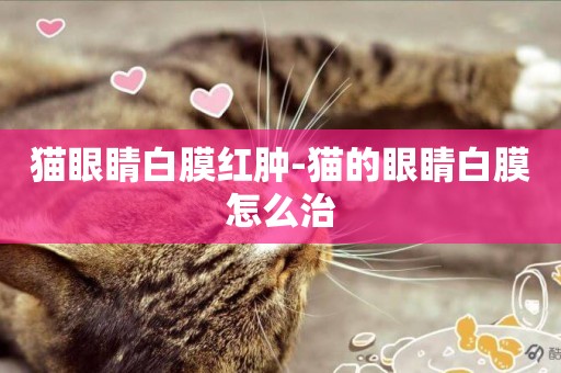 貓眼睛白膜紅腫-貓的眼睛白膜怎么治