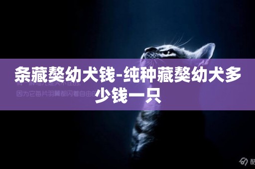 條藏獒幼犬錢-純種藏獒幼犬多少錢一只
