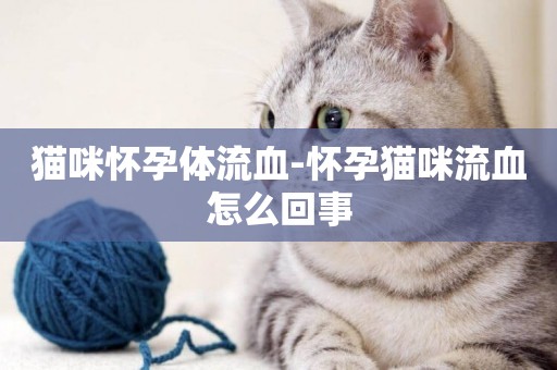 貓咪懷孕體流血-懷孕貓咪流血怎么回事