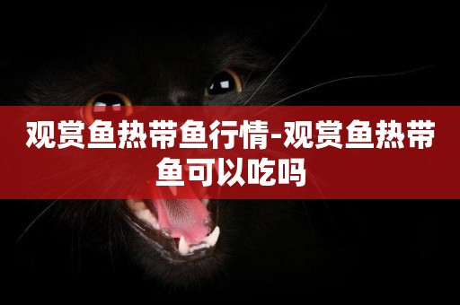 觀賞魚熱帶魚行情-觀賞魚熱帶魚可以吃嗎