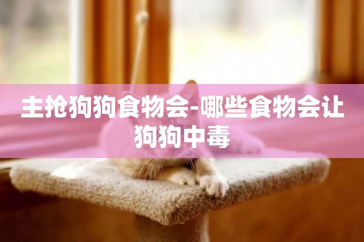 主搶狗狗食物會-哪些食物會讓狗狗中毒