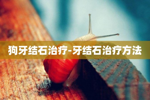 狗牙結石治療-牙結石治療方法