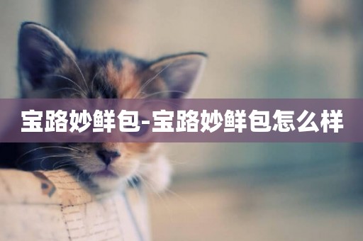 寶路妙鮮包-寶路妙鮮包怎么樣