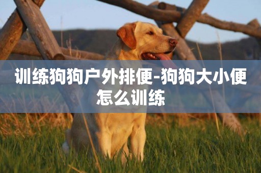 訓練狗狗戶外排便-狗狗大小便怎么訓練