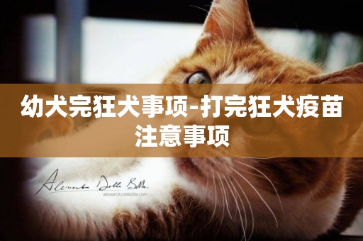 幼犬完狂犬事項-打完狂犬疫苗注意事項