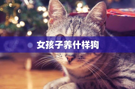 女孩子養什樣狗