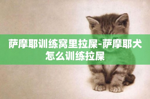 薩摩耶訓練窩里拉屎-薩摩耶犬怎么訓練拉屎