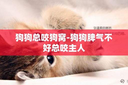 狗狗總咬狗窩-狗狗脾氣不好總咬主人