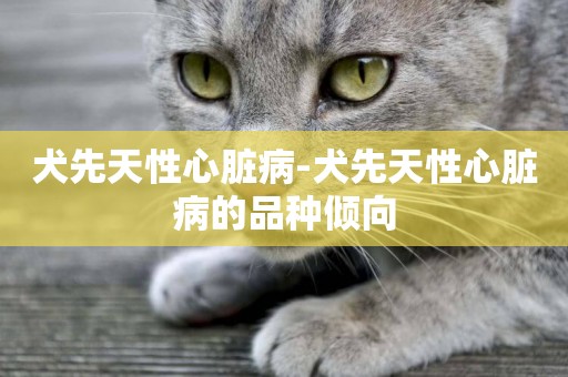 犬先天性心臟病-犬先天性心臟病的品種傾向