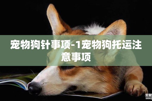 寵物狗針事項-1寵物狗托運注意事項