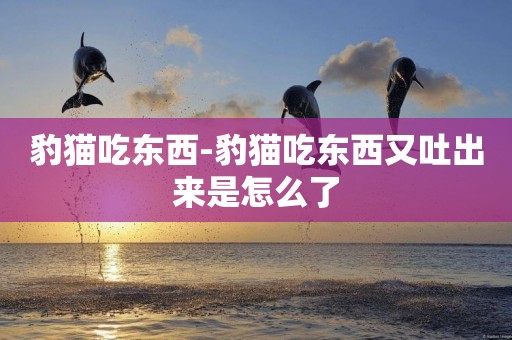 豹貓吃東西-豹貓吃東西又吐出來是怎么了