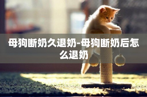 母狗斷奶久退奶-母狗斷奶后怎么退奶
