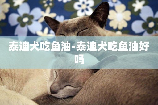 泰迪犬吃魚油-泰迪犬吃魚油好嗎