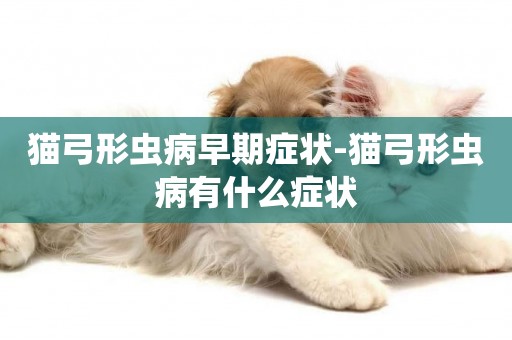 貓弓形蟲病早期癥狀-貓弓形蟲病有什么癥狀