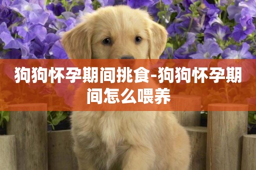 狗狗懷孕期間挑食-狗狗懷孕期間怎么喂養