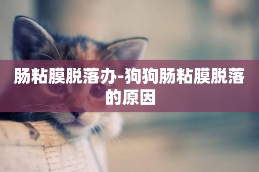 腸粘膜脫落辦-狗狗腸粘膜脫落的原因
