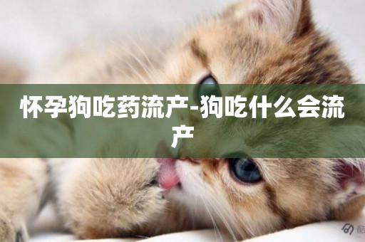 懷孕狗吃藥流產-狗吃什么會流產