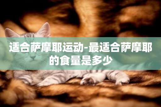 適合薩摩耶運動-最適合薩摩耶的食量是多少