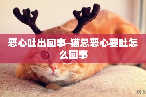 惡心吐出回事-貓總惡心要吐怎么回事
