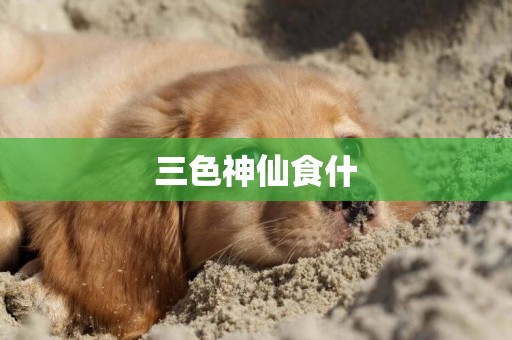 三色神仙食什