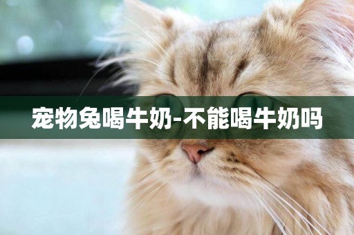 寵物兔喝牛奶-不能喝牛奶嗎