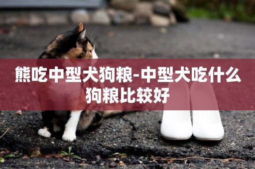 熊吃中型犬狗糧-中型犬吃什么狗糧比較好