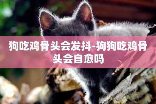 狗吃雞骨頭會發抖-狗狗吃雞骨頭會自愈嗎