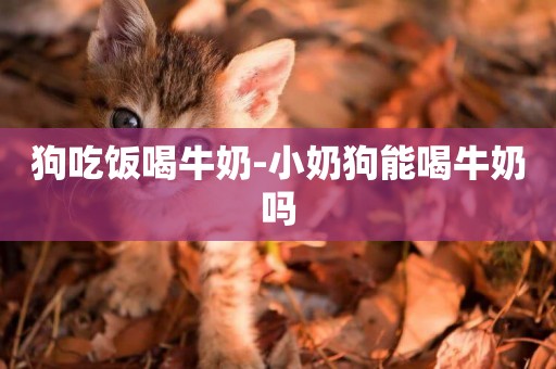 狗吃飯喝牛奶-小奶狗能喝牛奶嗎
