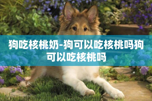 狗吃核桃奶-狗可以吃核桃嗎狗可以吃核桃嗎