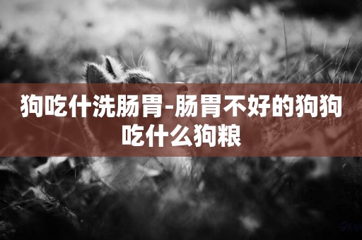 狗吃什洗腸胃-腸胃不好的狗狗吃什么狗糧