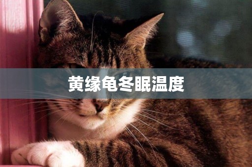 黃緣龜冬眠溫度