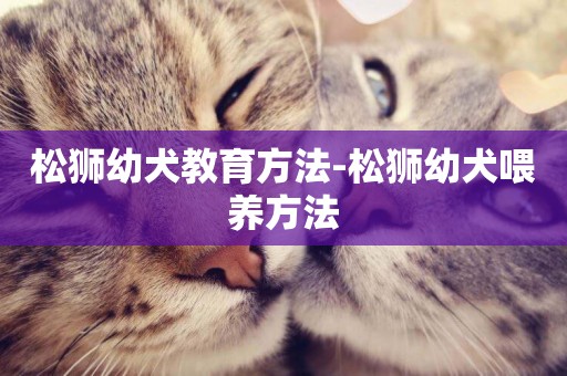 松獅幼犬教育方法-松獅幼犬喂養方法
