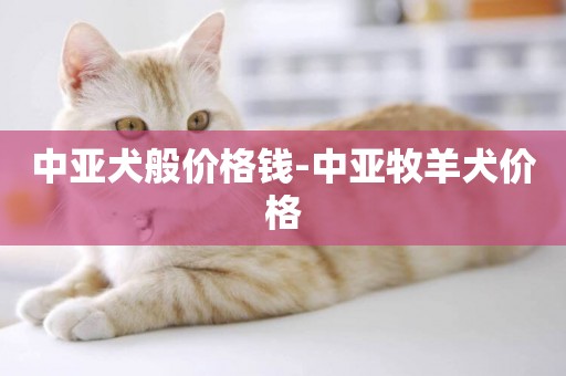 中亞犬般價格錢-中亞牧羊犬價格