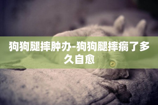 狗狗腿摔腫辦-狗狗腿摔瘸了多久自愈