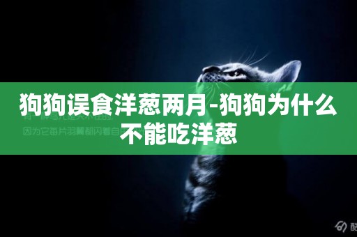 狗狗誤食洋蔥兩月-狗狗為什么不能吃洋蔥