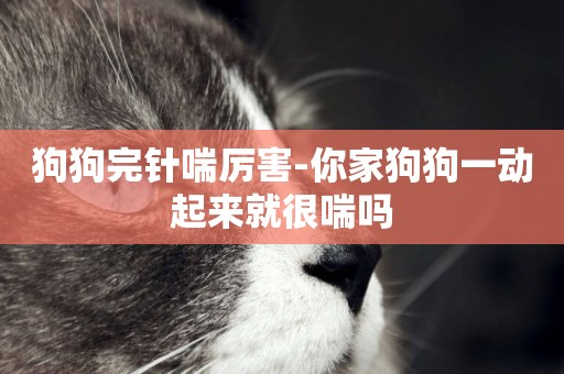 狗狗完針喘厲害-你家狗狗一動起來就很喘嗎