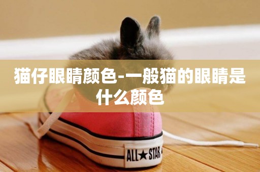 貓仔眼睛顏色-一般貓的眼睛是什么顏色