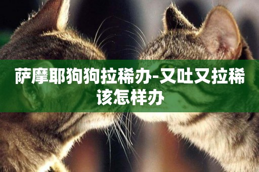薩摩耶狗狗拉稀辦-又吐又拉稀該怎樣辦