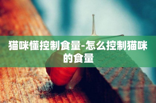 貓咪懂控制食量-怎么控制貓咪的食量