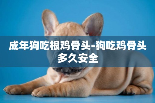 成年狗吃根雞骨頭-狗吃雞骨頭多久安全