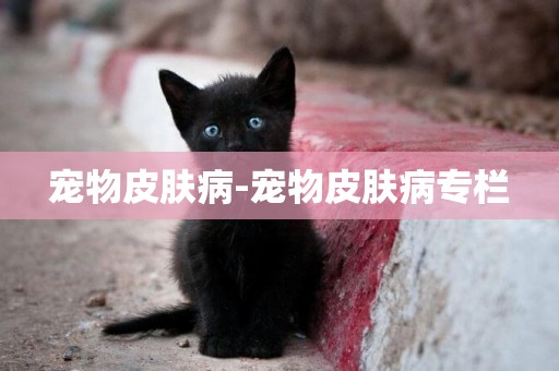 寵物皮膚病-寵物皮膚病專欄