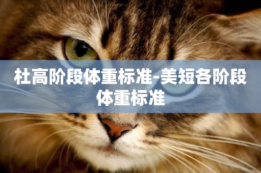 杜高階段體重標準-美短各階段體重標準