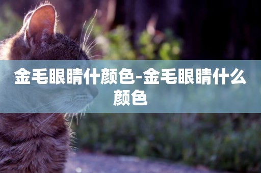 金毛眼睛什顏色-金毛眼睛什么顏色