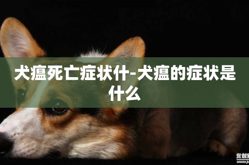 犬瘟死亡癥狀什-犬瘟的癥狀是什么