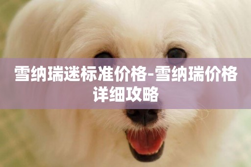 雪納瑞迷標準價格-雪納瑞價格詳細攻略