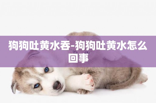 狗狗吐黃水吞-狗狗吐黃水怎么回事